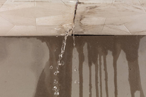 Professional Burst Pipe Cleanup technician working in Brooklyn, MS